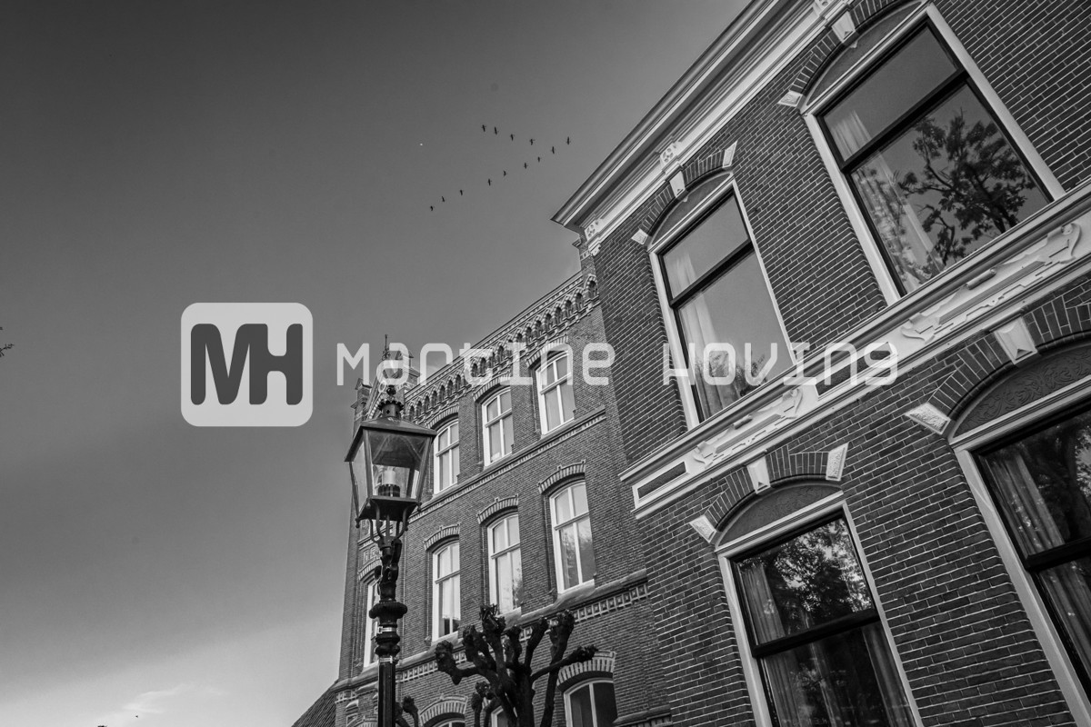 Martine_Hoving-MHO_6526